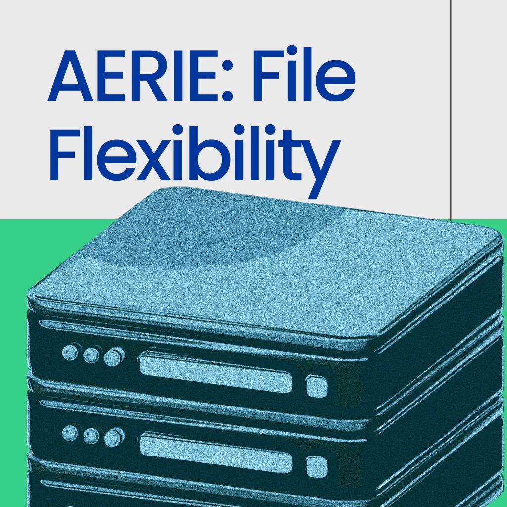 AERIE's-File-Flexibility